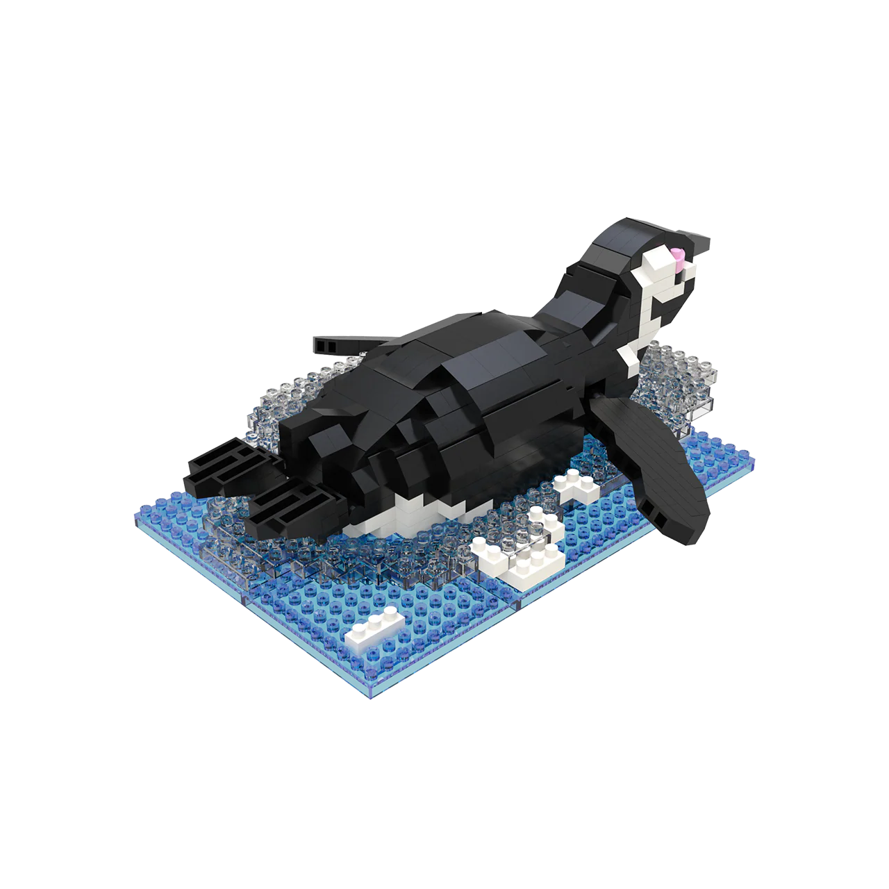 African Penguin - Image 5