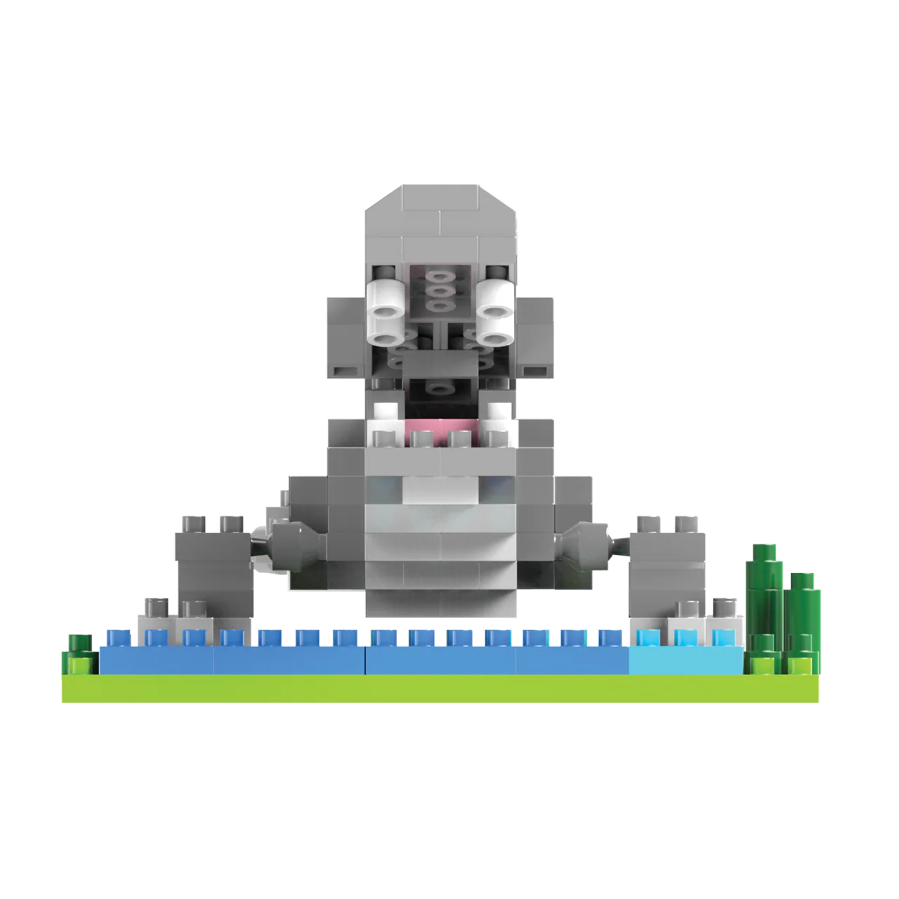 Alligator - Image 4