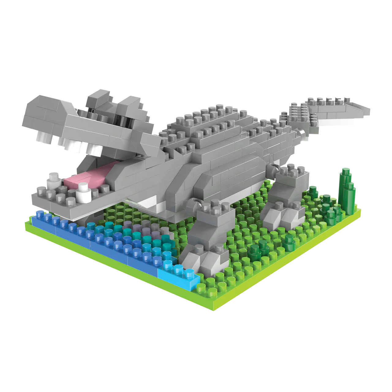 Alligator - Image 6
