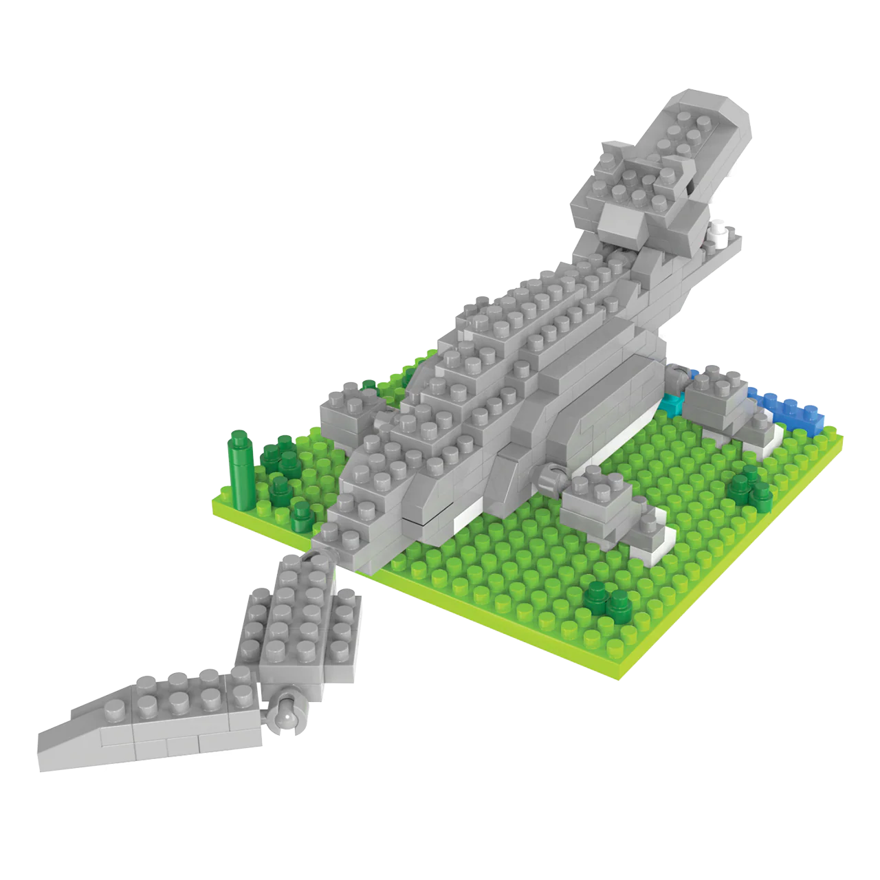 Alligator - Image 7