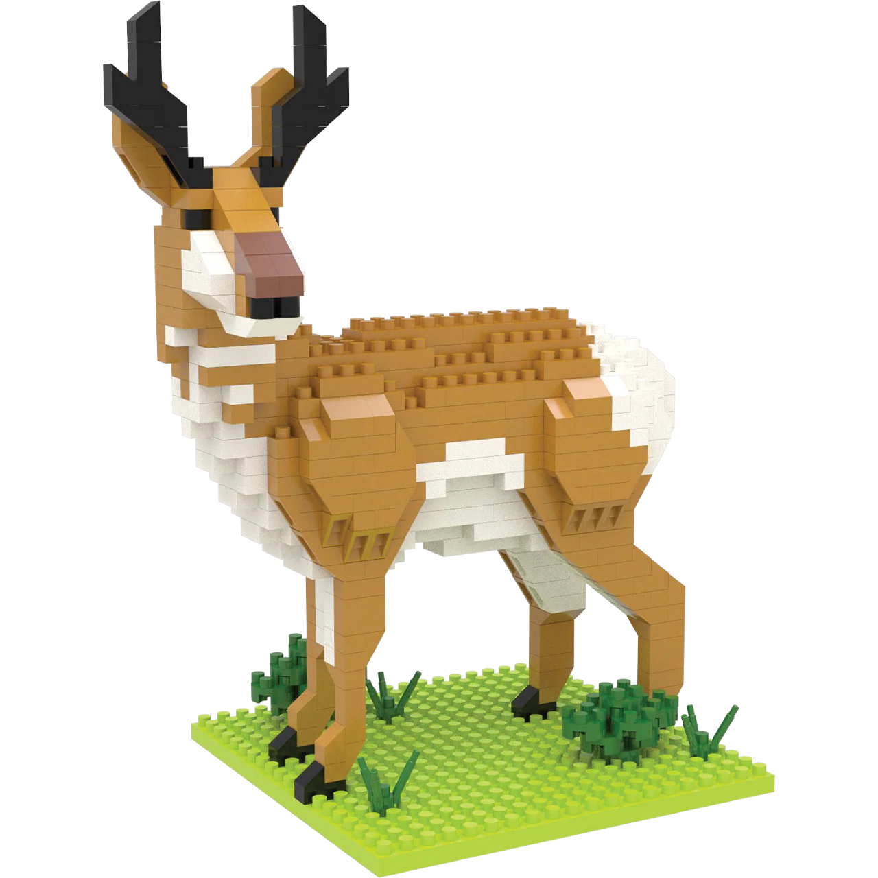 American Pronghorn - Image 2