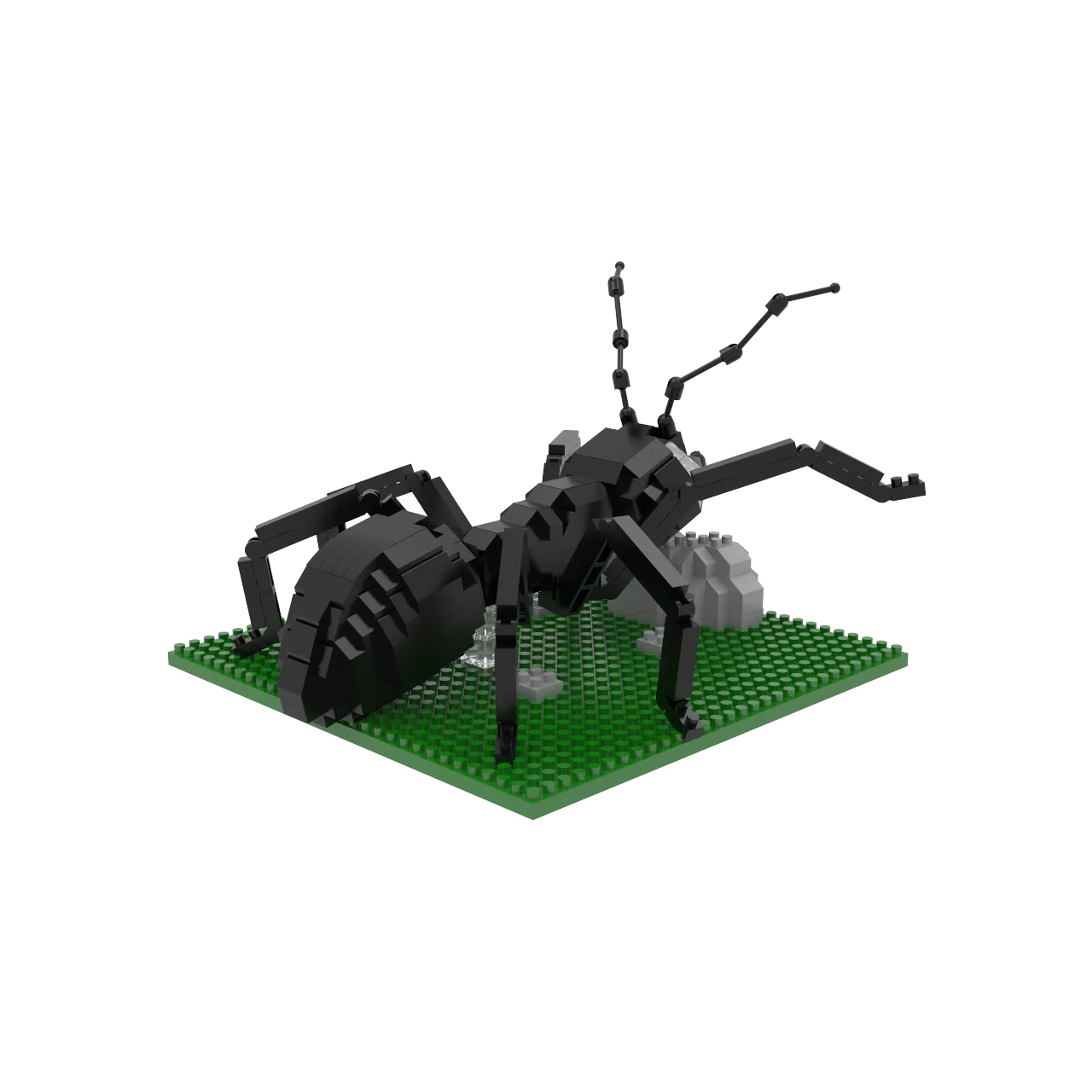 Ant - Image 3