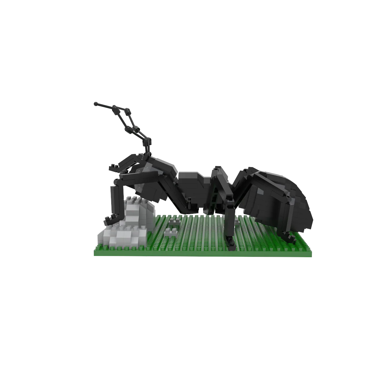 Ant - Image 4