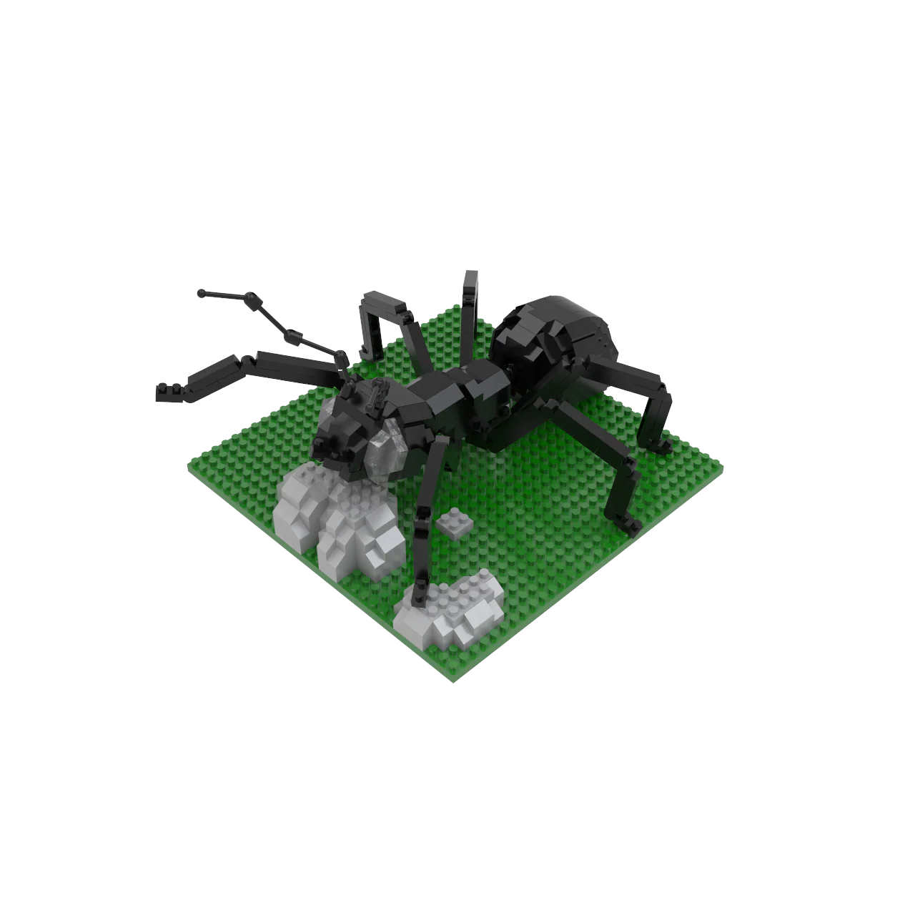 Ant - Image 5