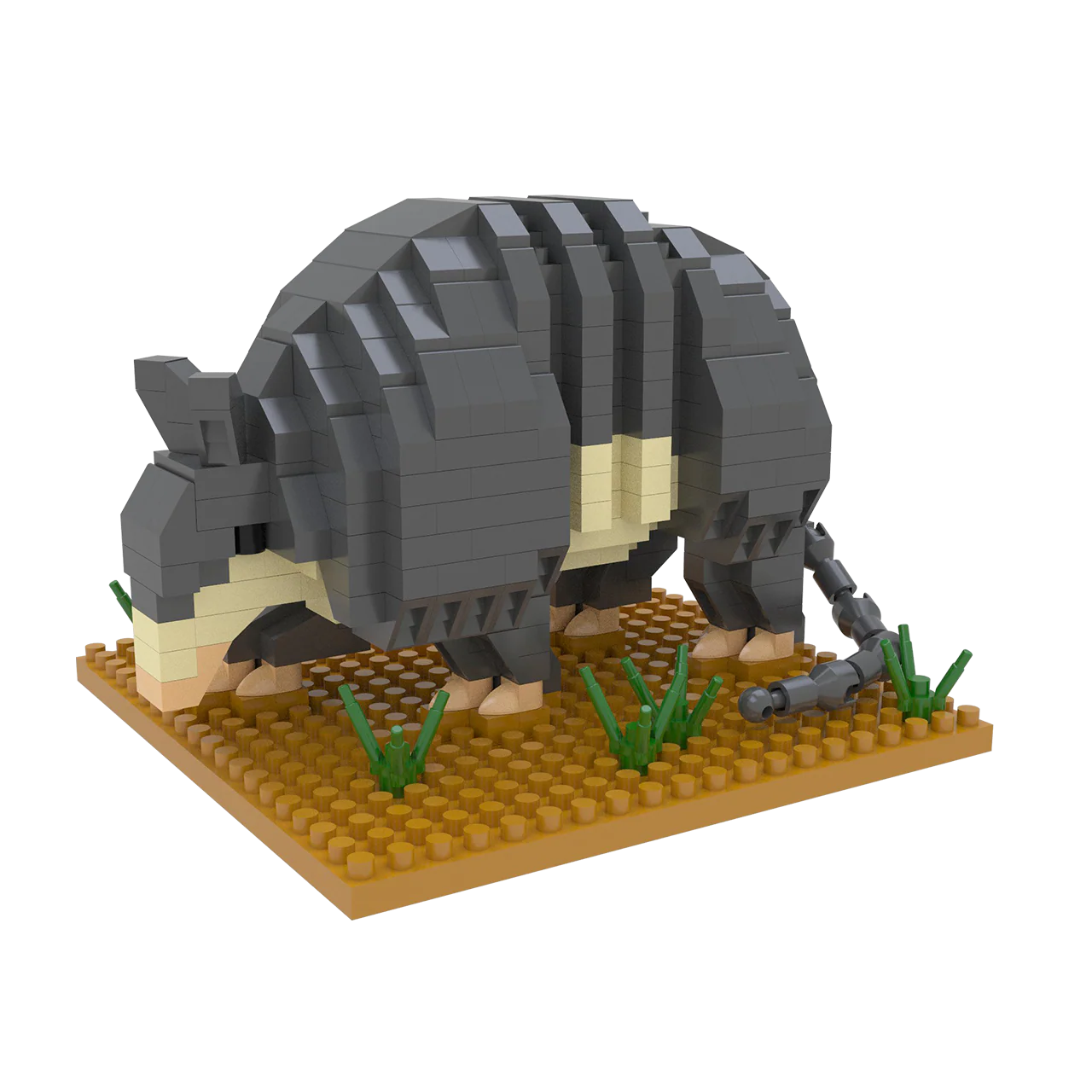 Armadillo - Image 4