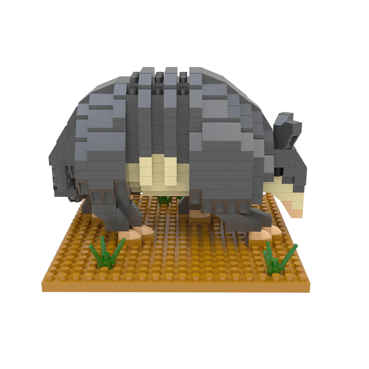 Armadillo - Image 5