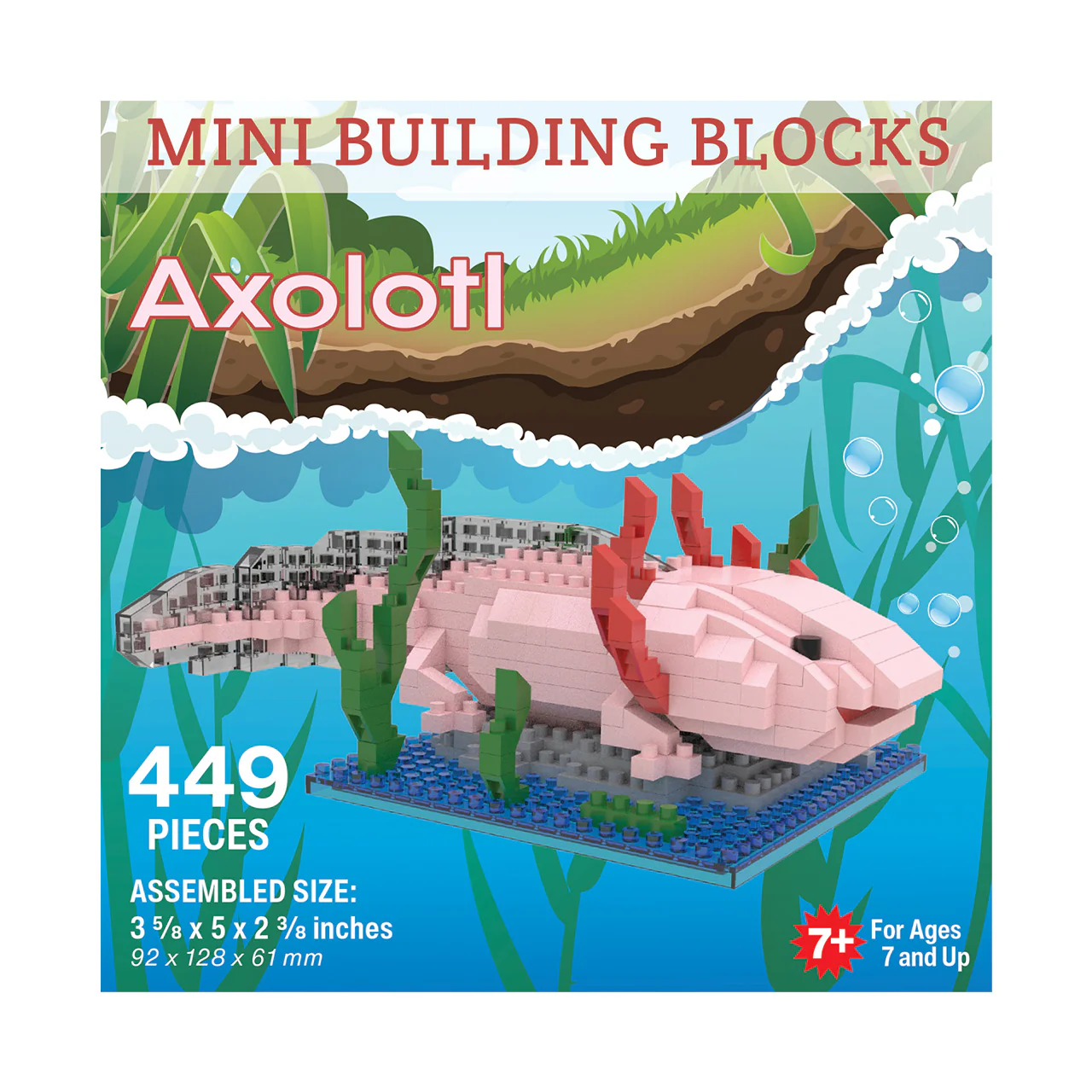 Axolotl - Image 12