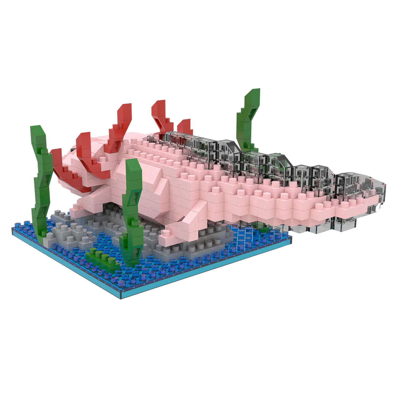 Axolotl - Image 13