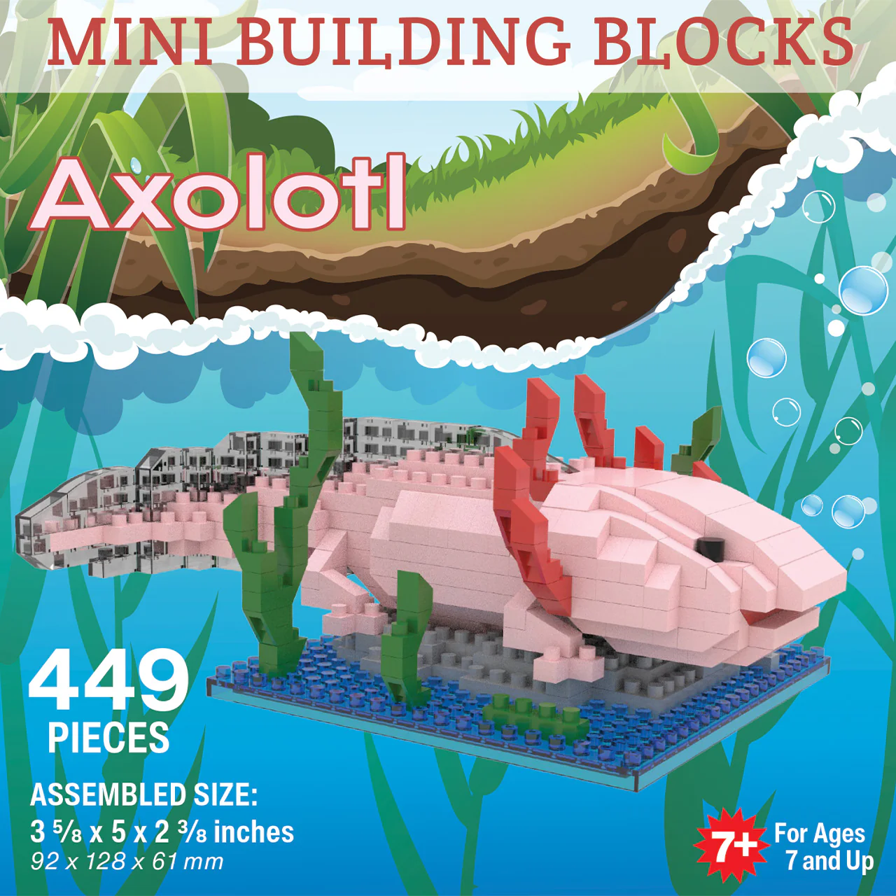 Axolotl - Image 2