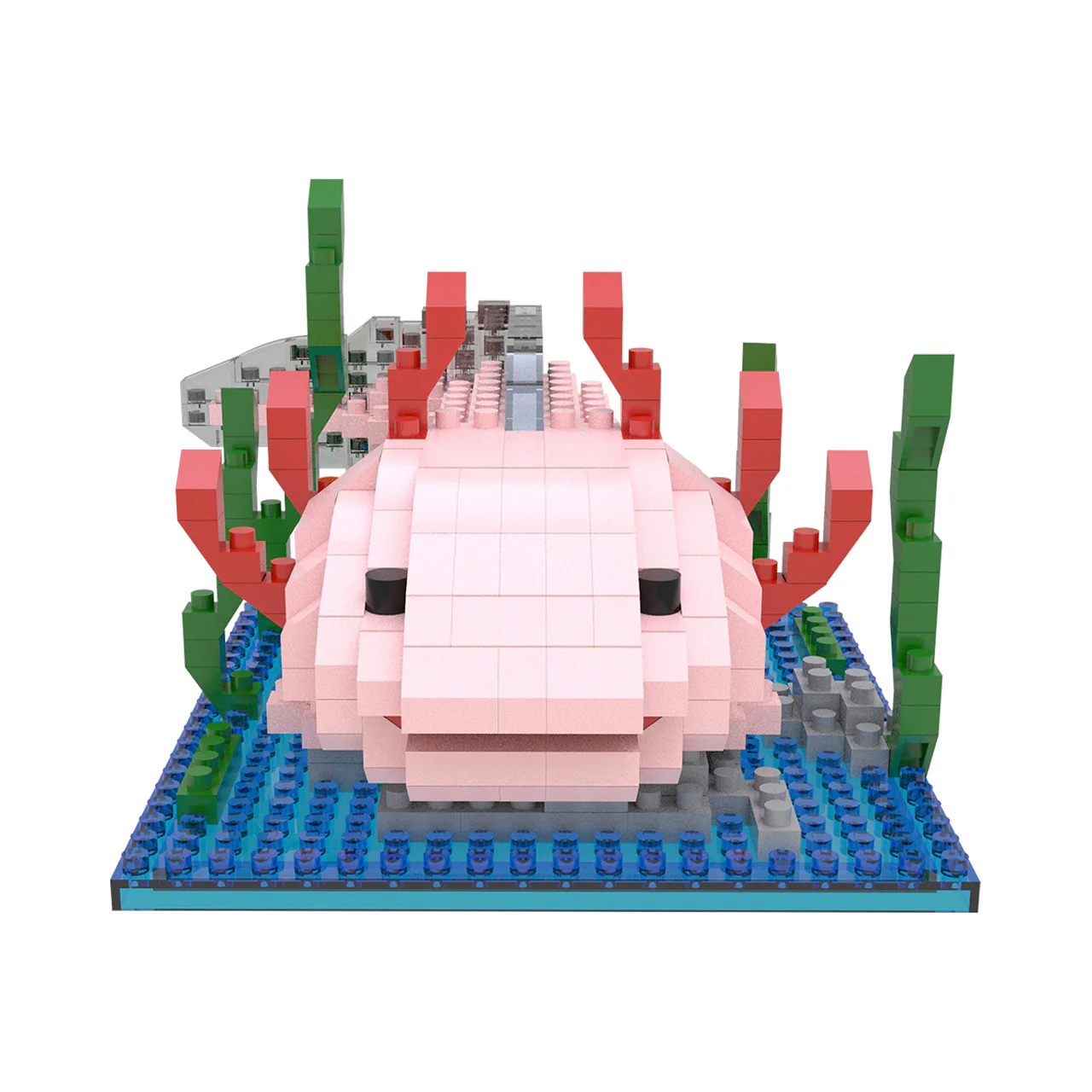 Axolotl - Image 3