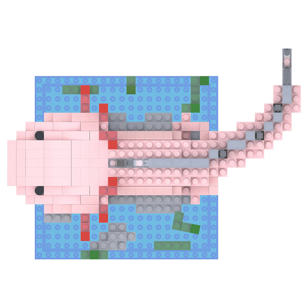 Axolotl - Image 7