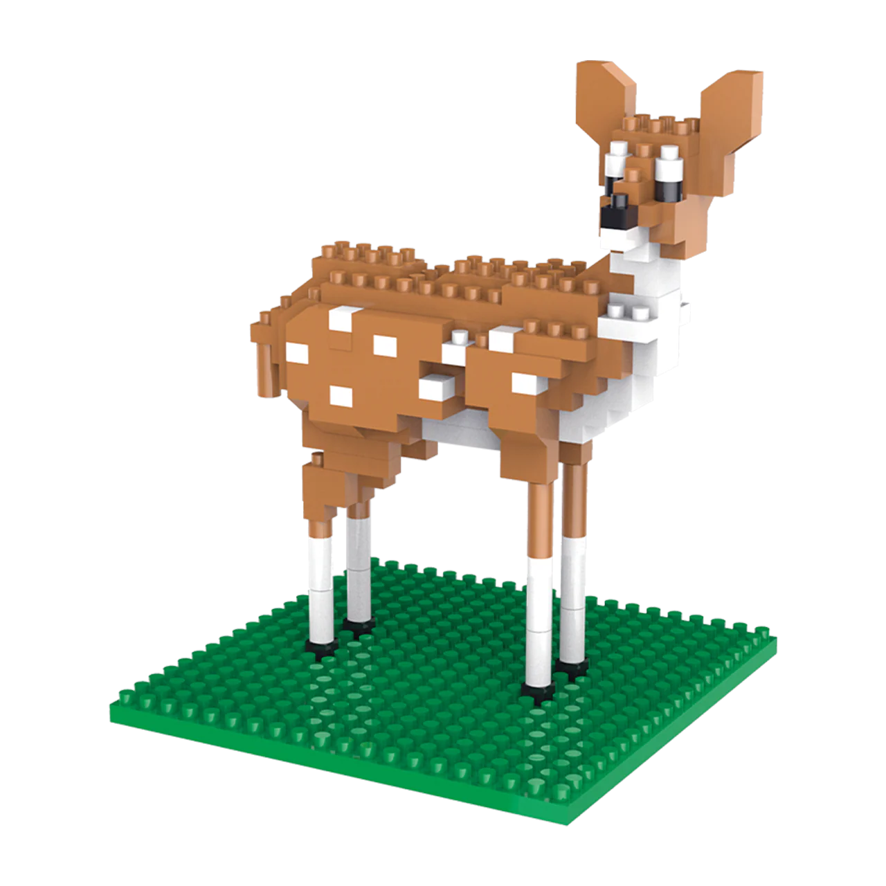 Baby white tailed deer - Image 3
