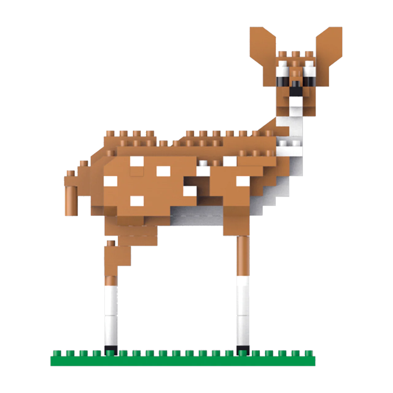Baby white tailed deer - Image 4