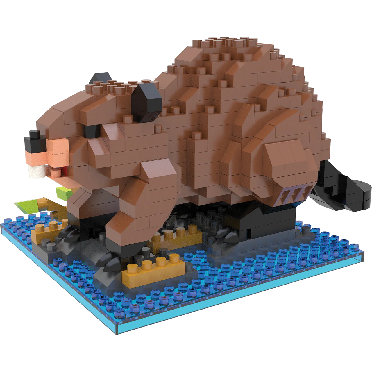Beaver - Image 2