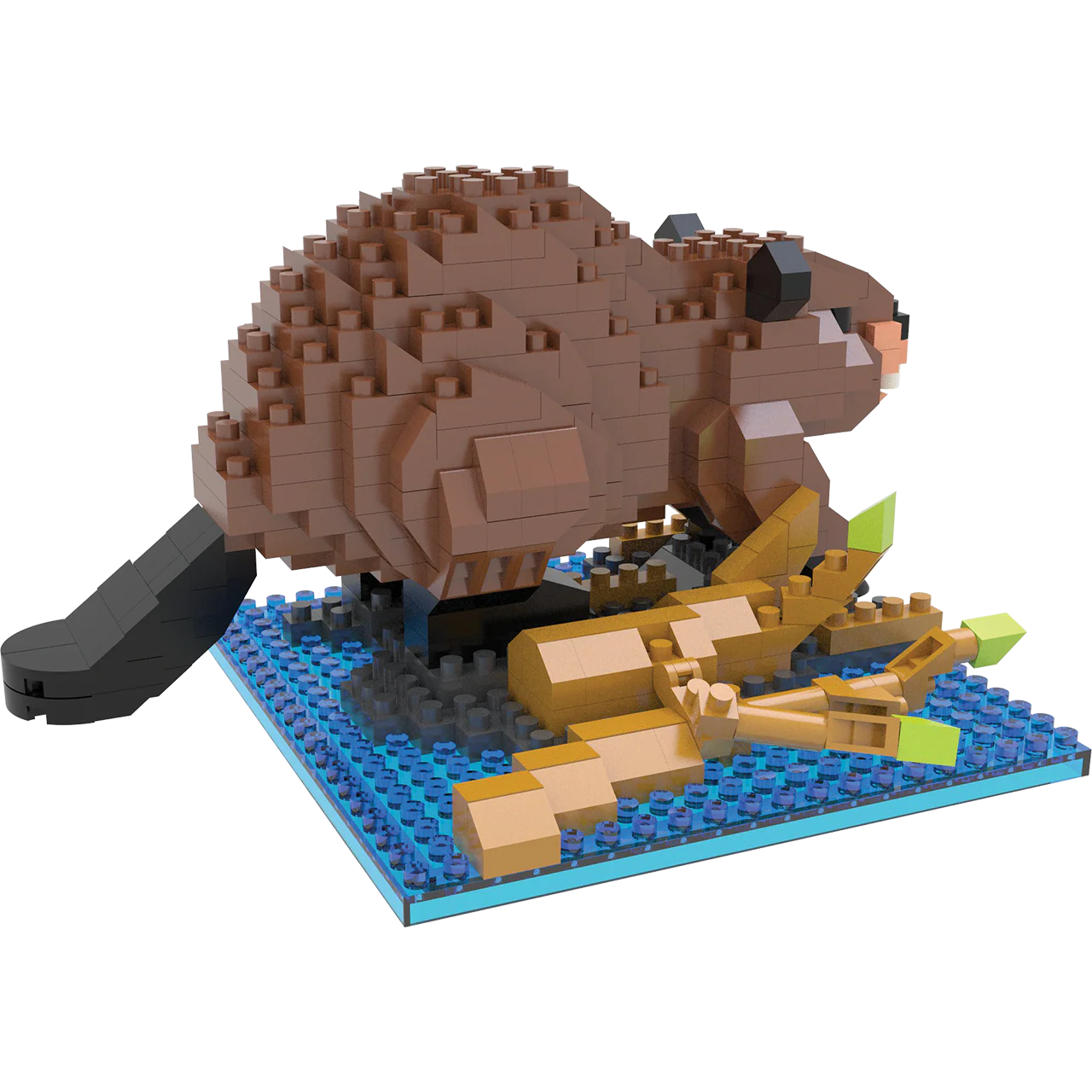 Beaver - Image 4