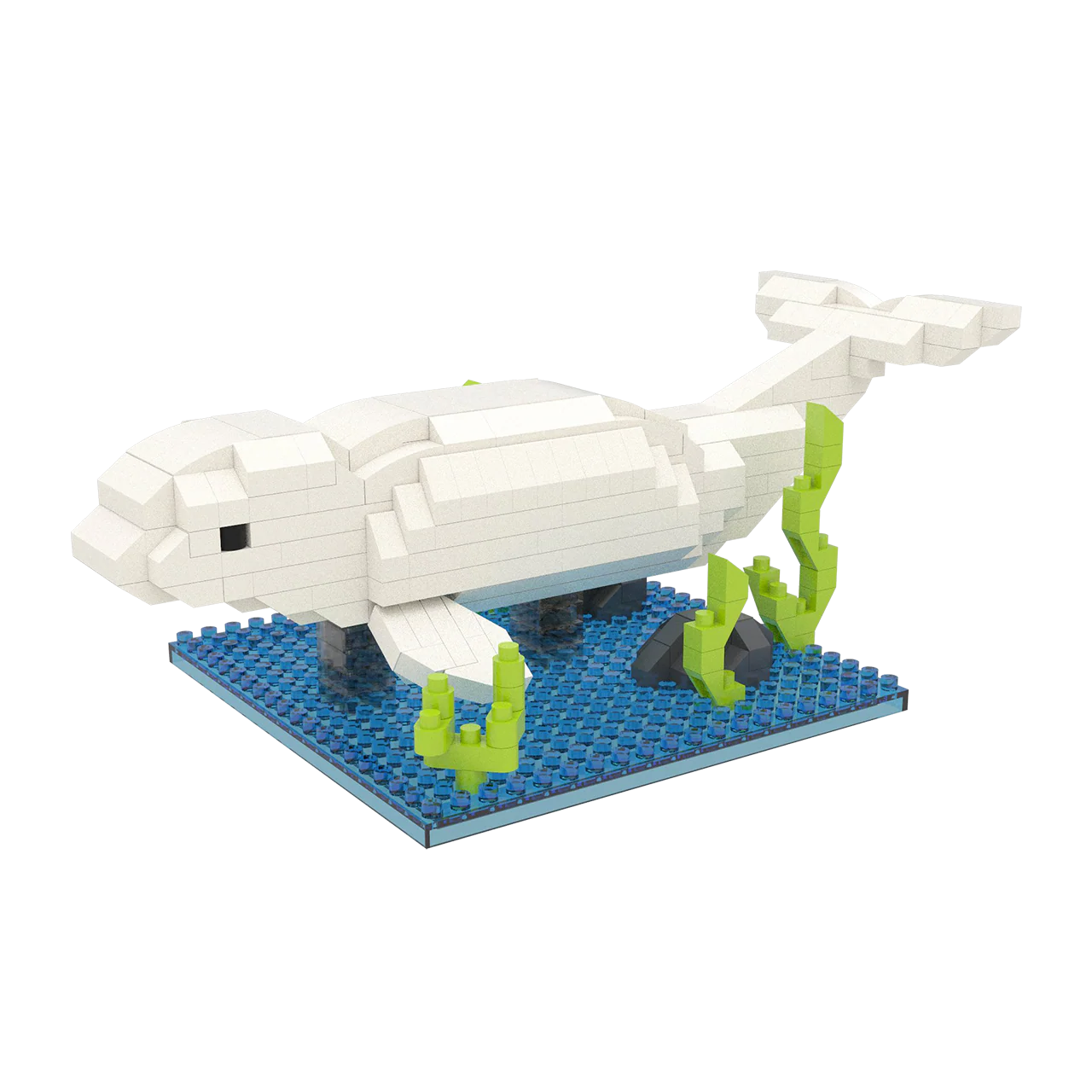 Beluga - Image 2