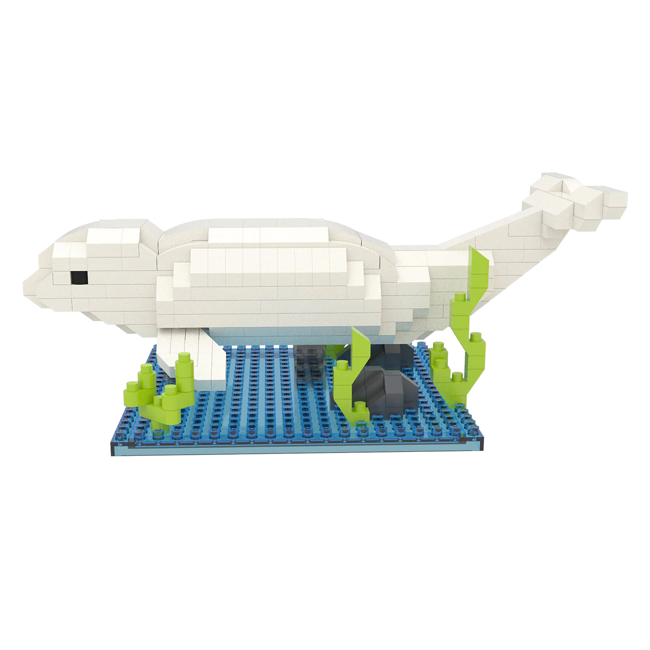 Beluga - Image 3