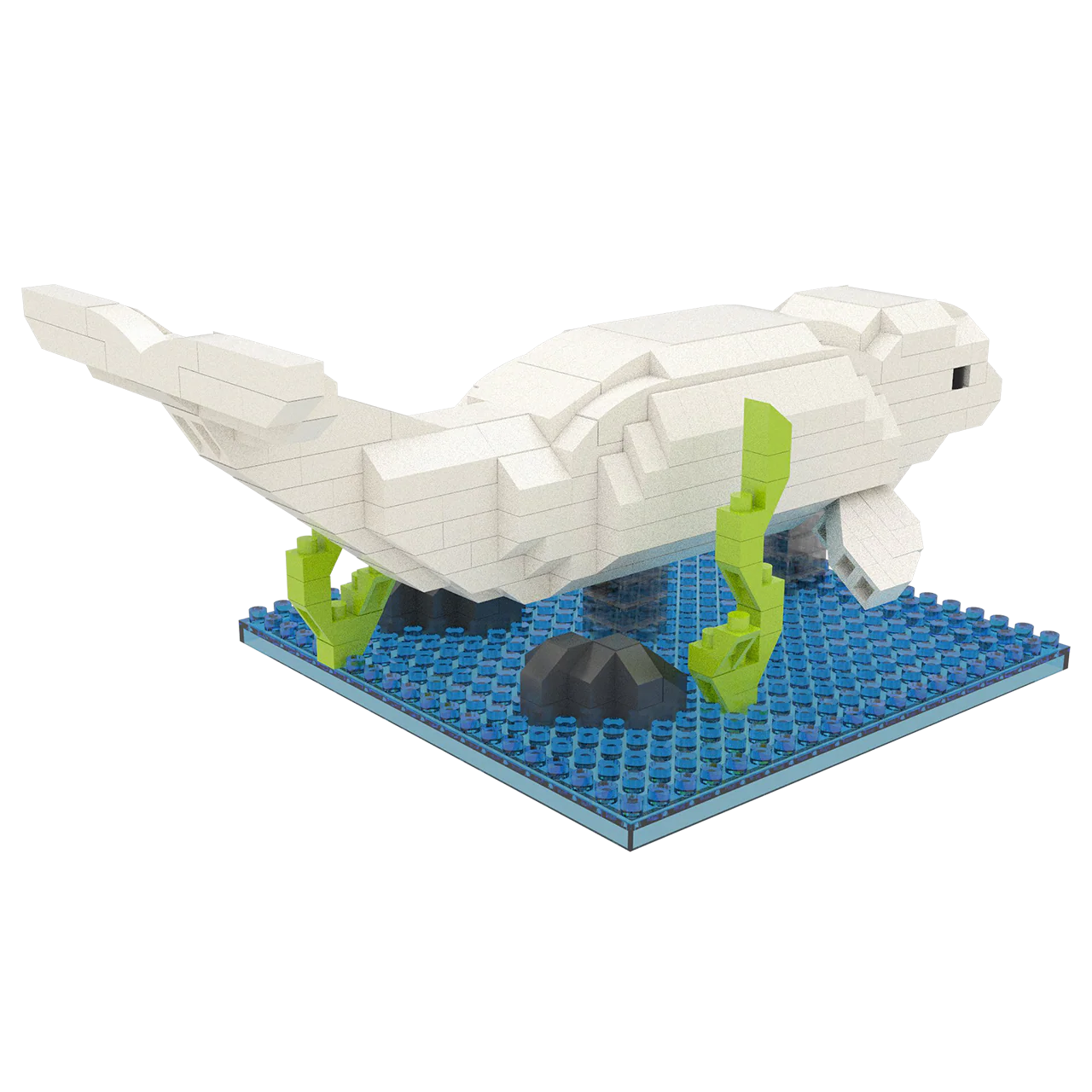Beluga - Image 4