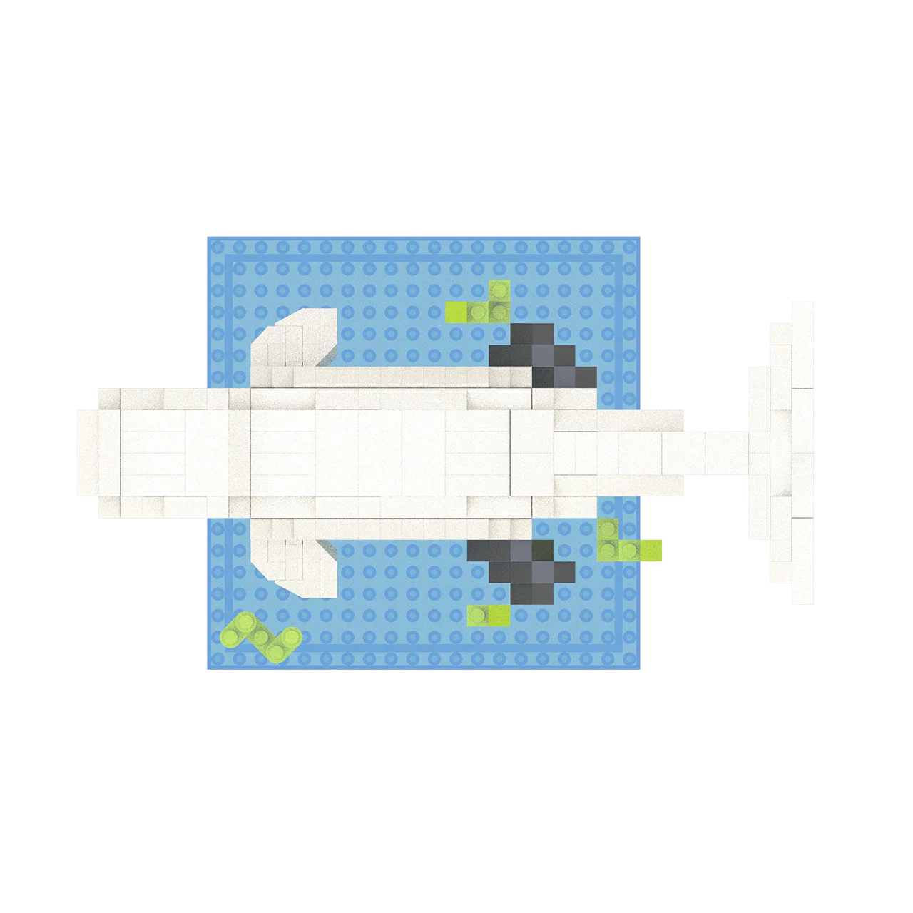 Beluga - Image 6