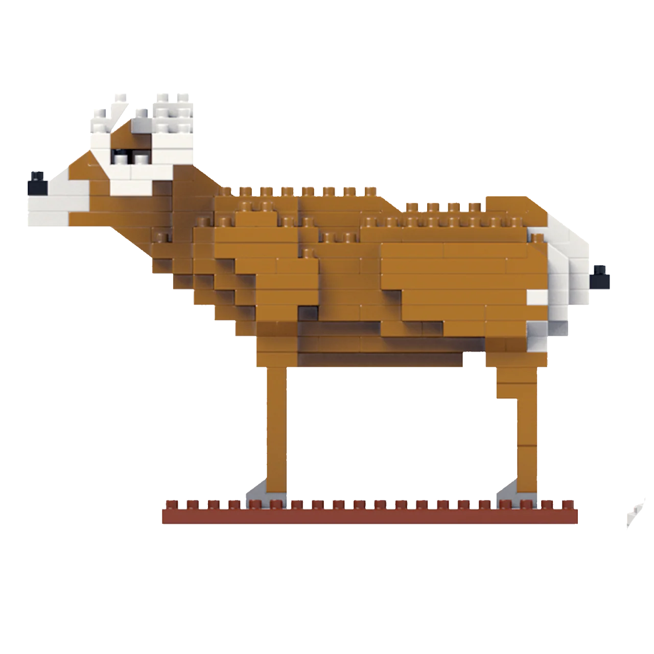 Bighorn Sheep Desert - Image 3