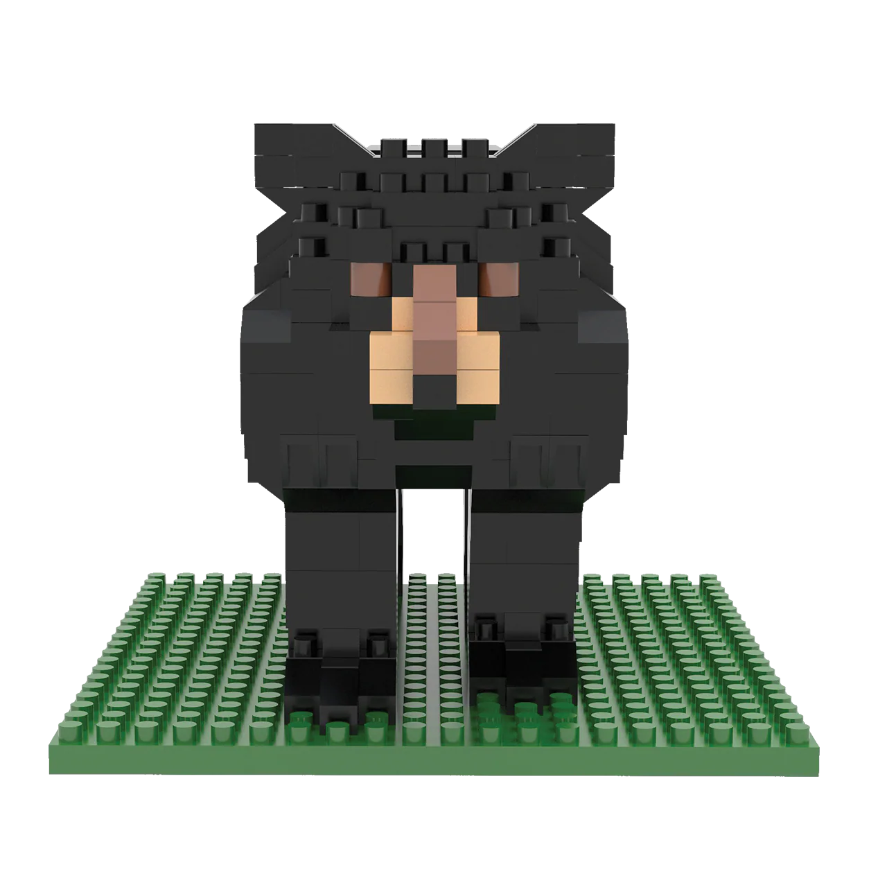Black Bear - Image 4