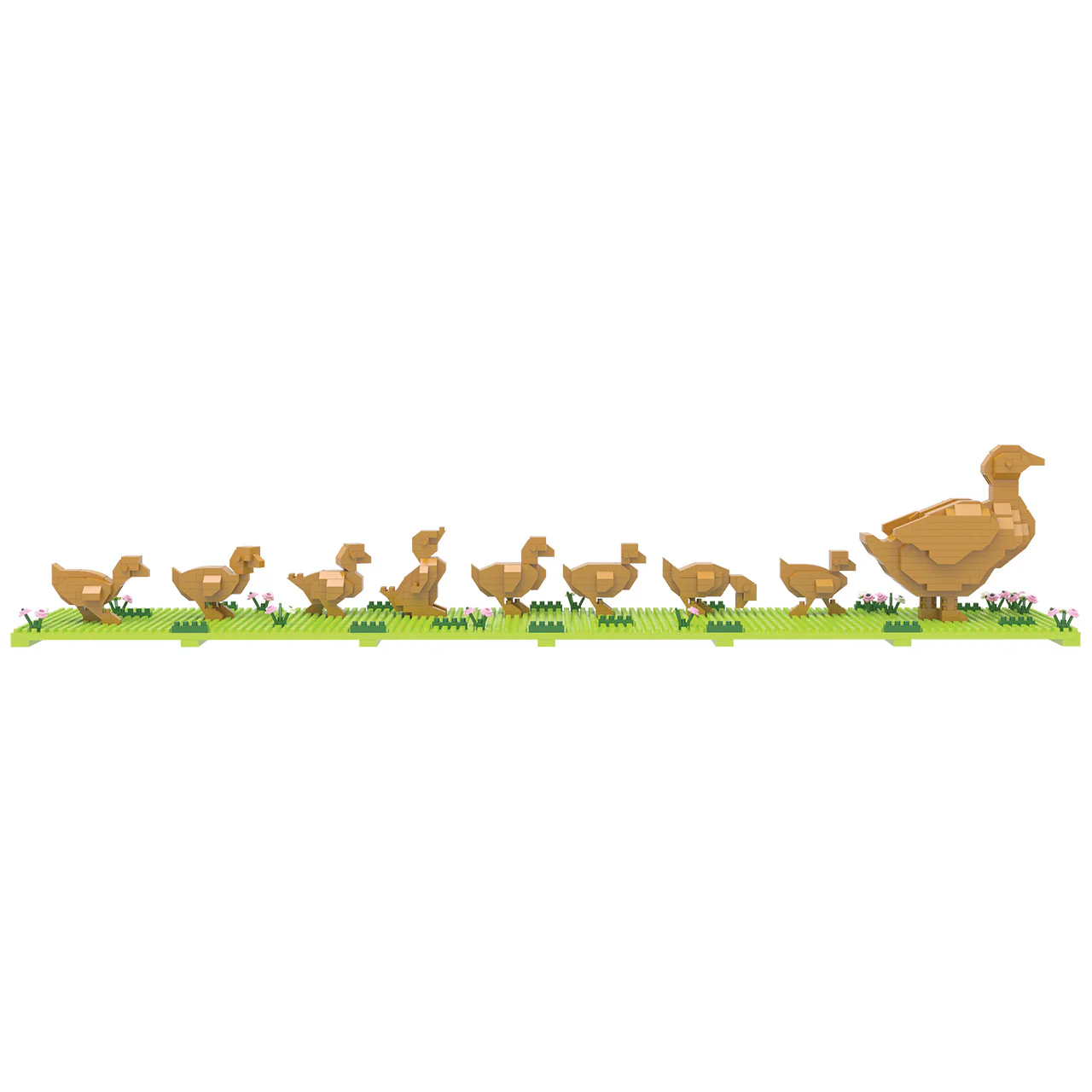 Boston Ducklings - Image 2