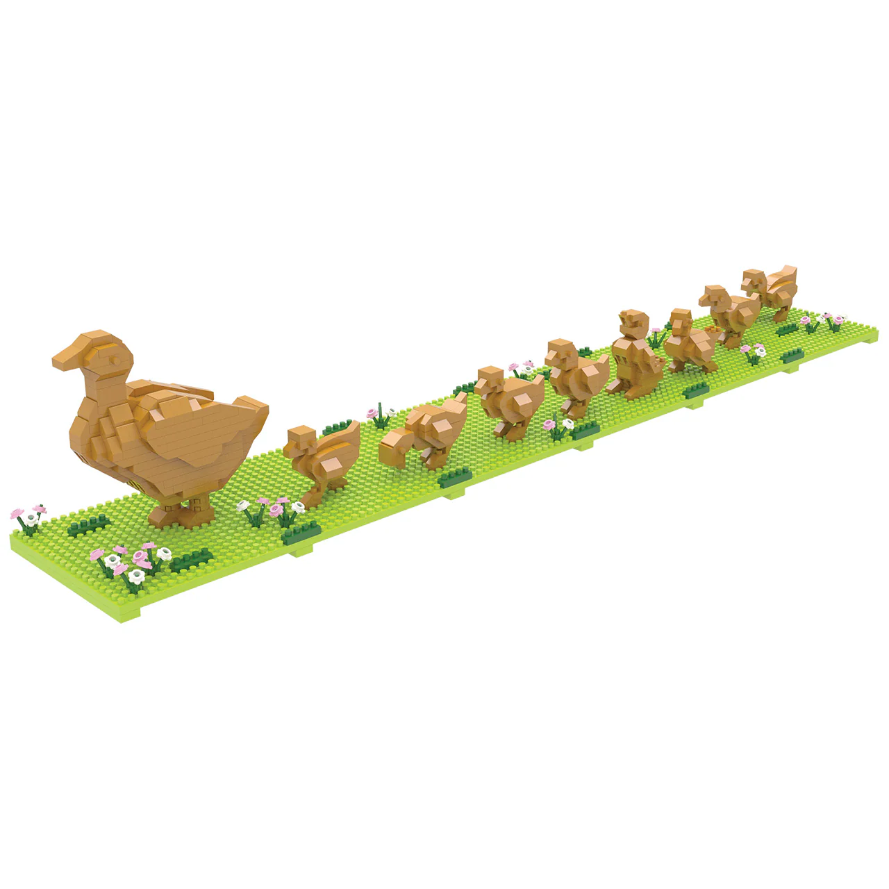 Boston Ducklings - Image 4