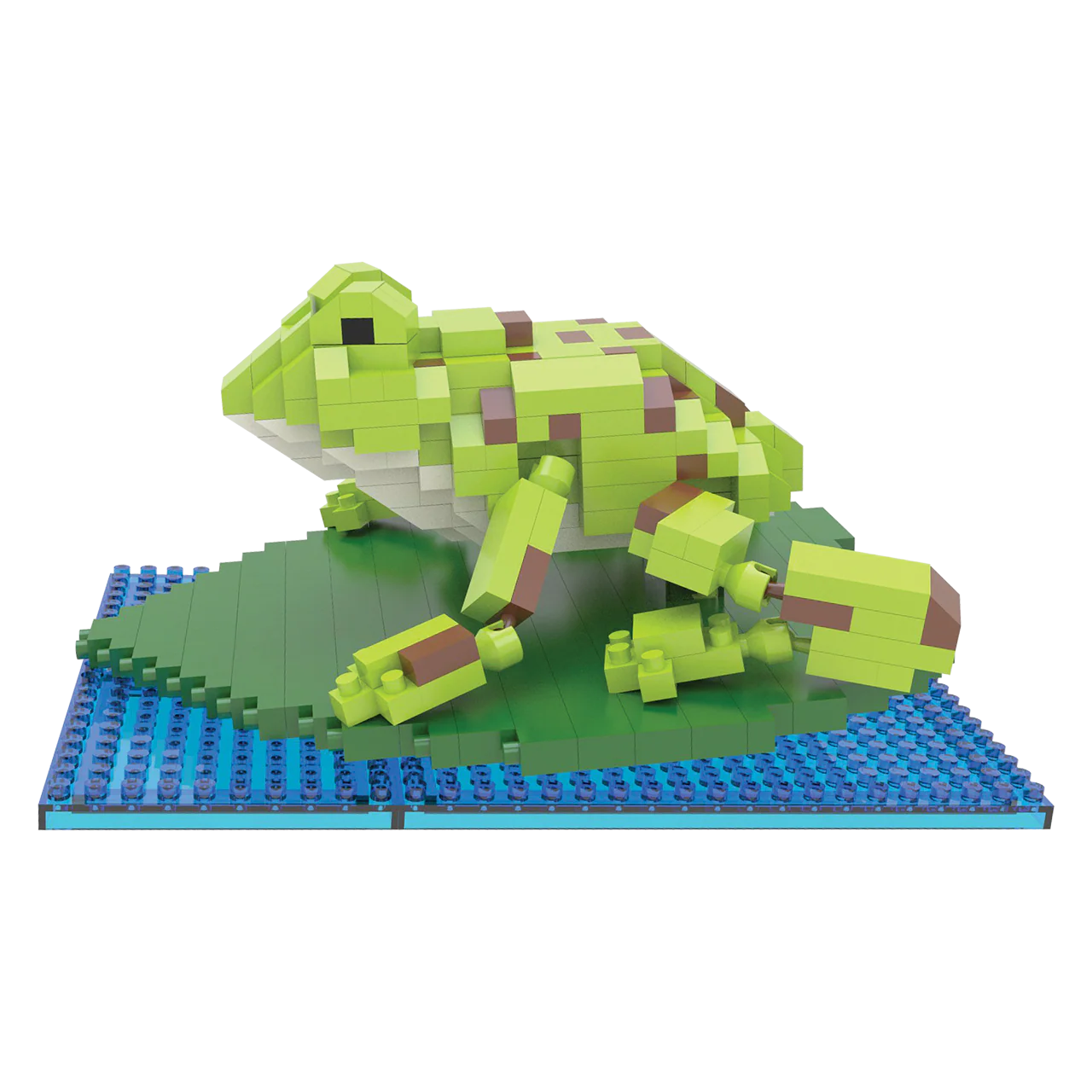 Bullfrog - Image 6