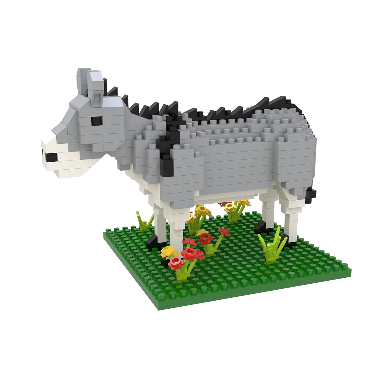 Burro - Image 4