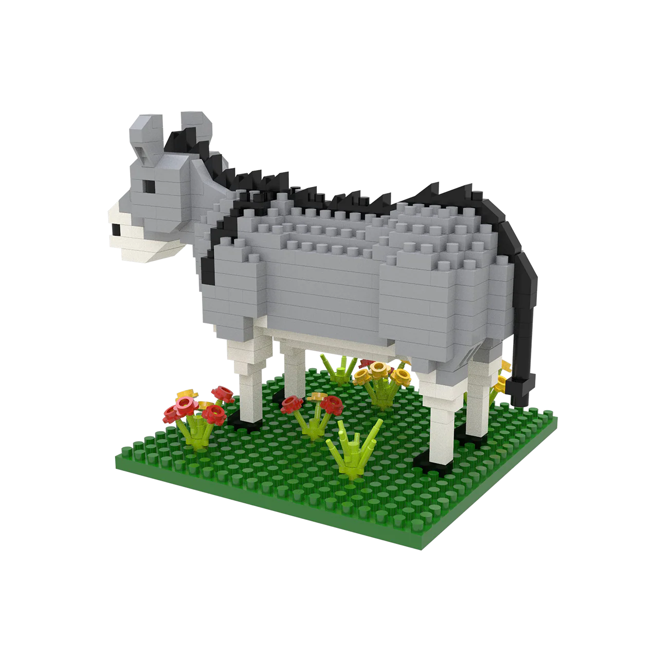 Burro - Image 5