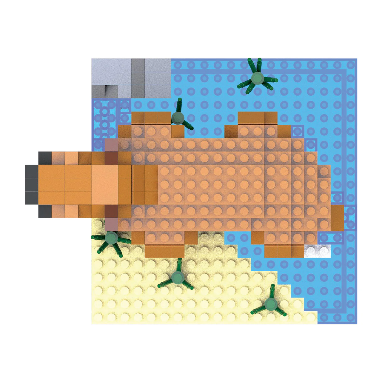 Capybara - Image 3
