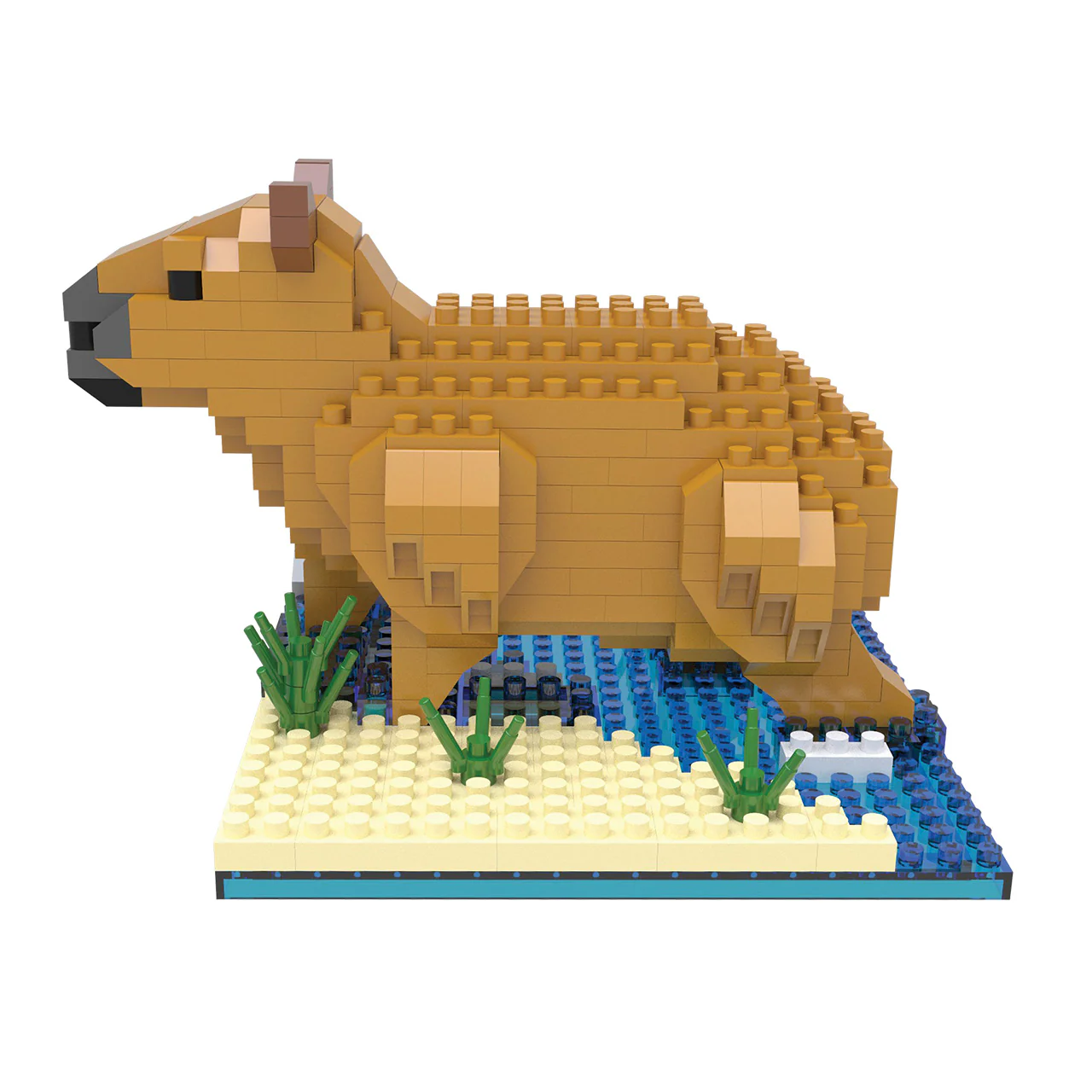 Capybara - Image 5