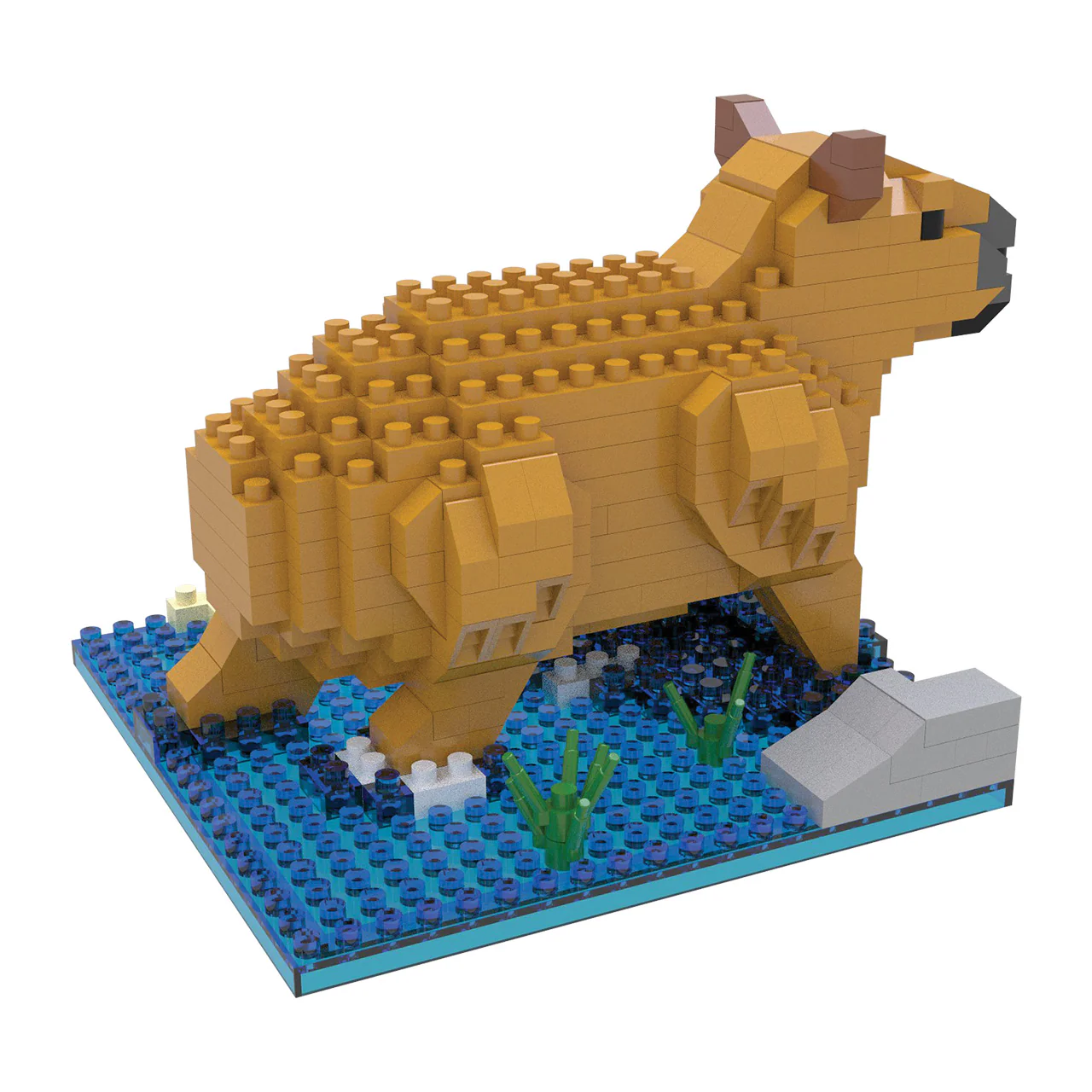 Capybara - Image 6