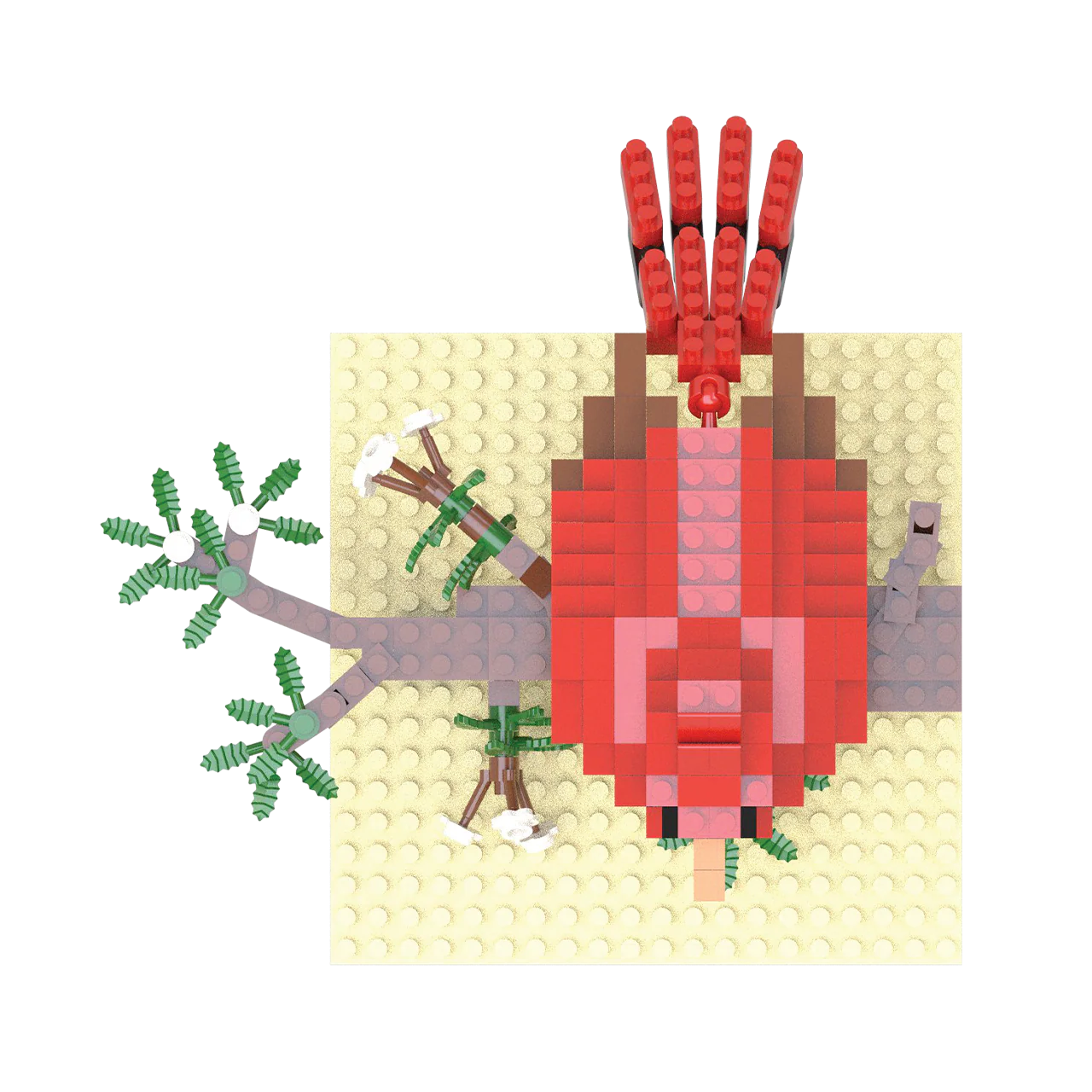 Cardinal - Image 5