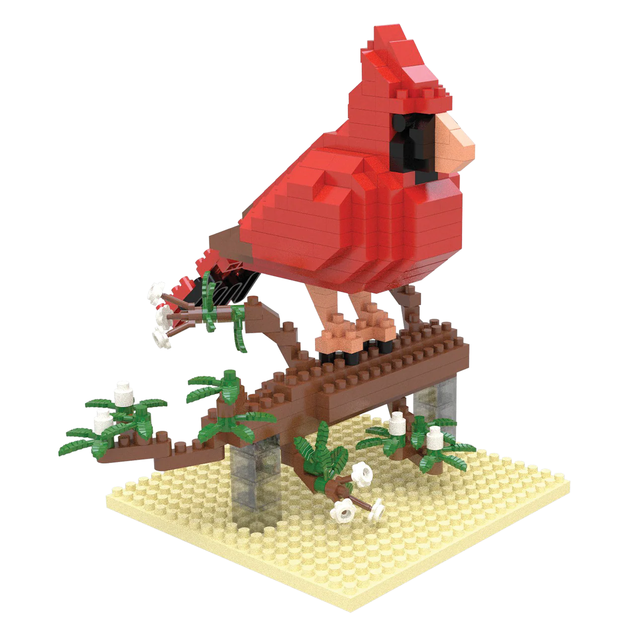Cardinal - Image 6