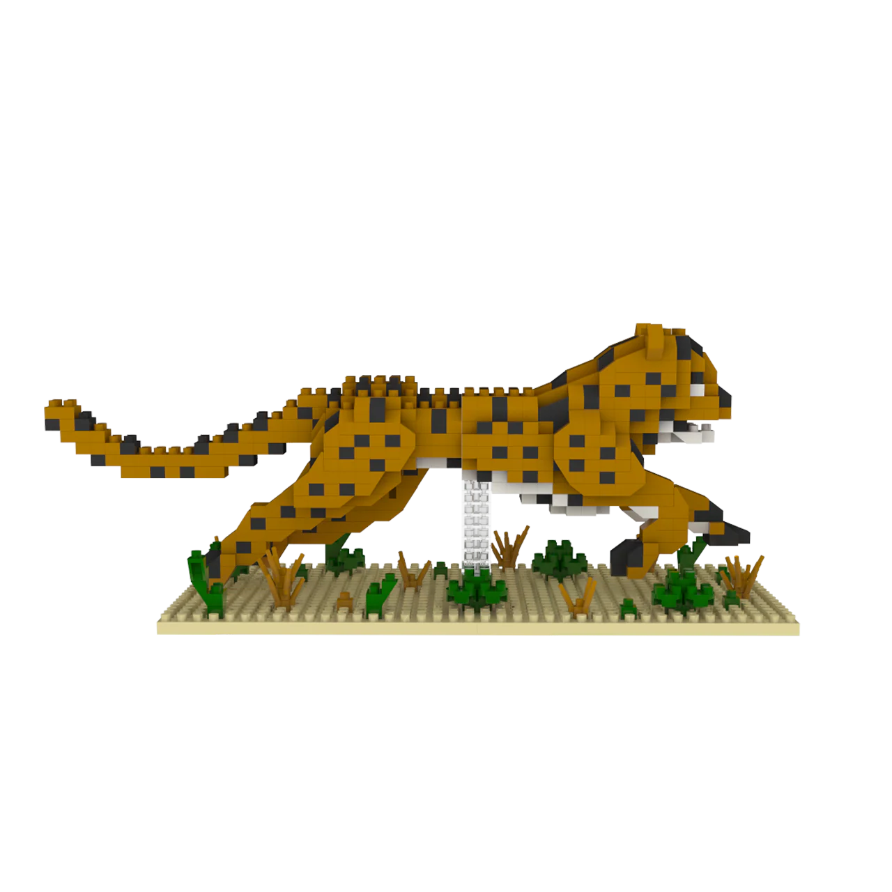 Cheetah - Image 4