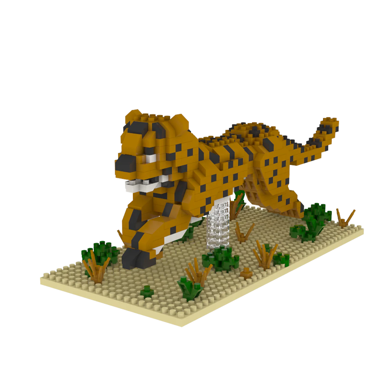 Cheetah - Image 6