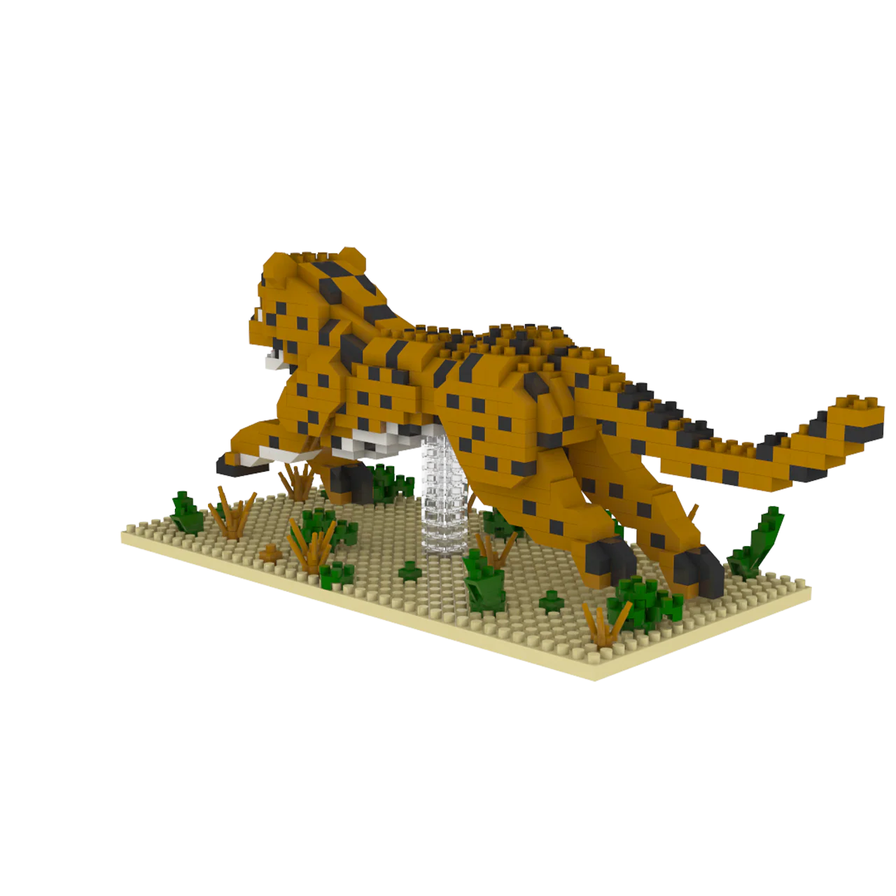 Cheetah - Image 7