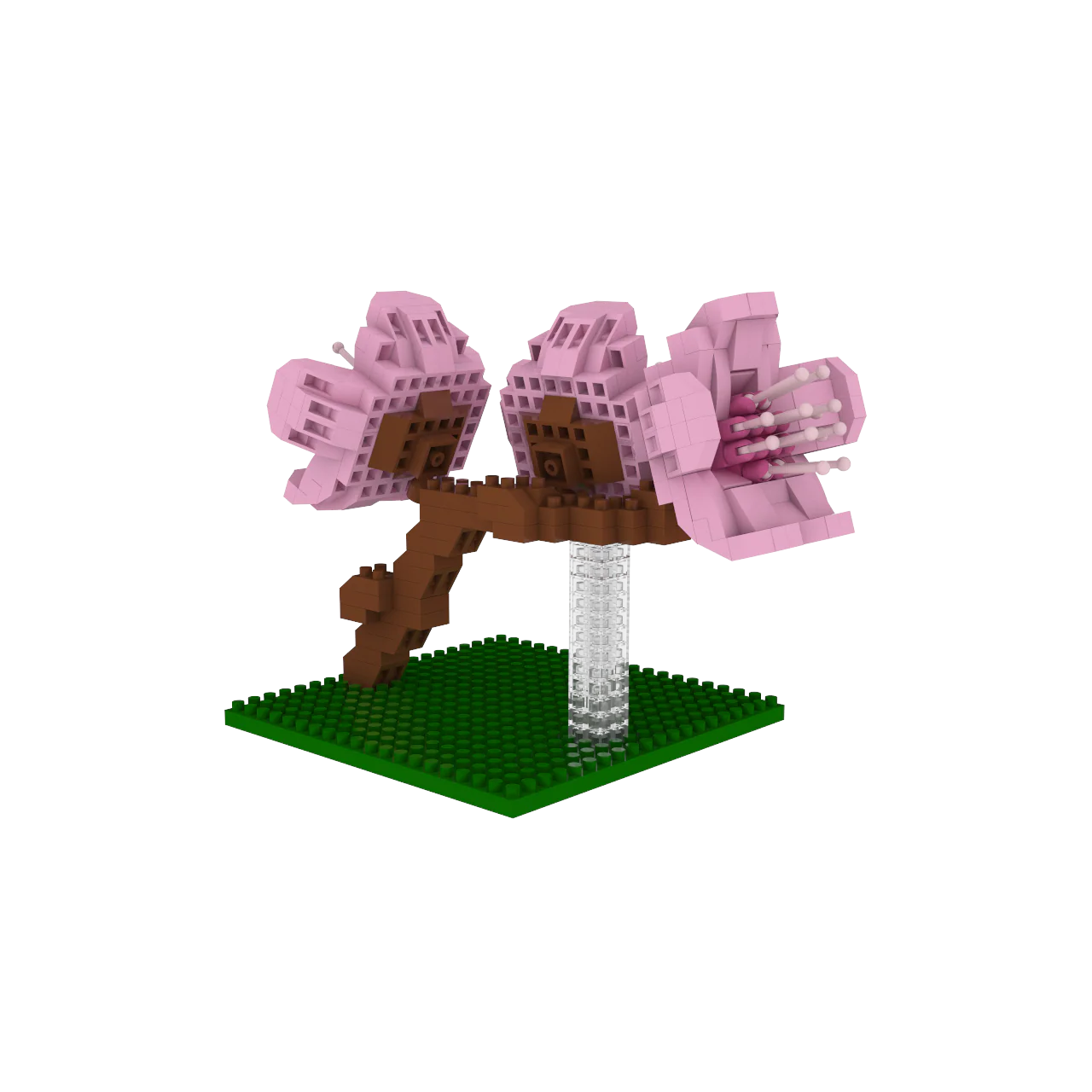Cherry Blossom - Image 3
