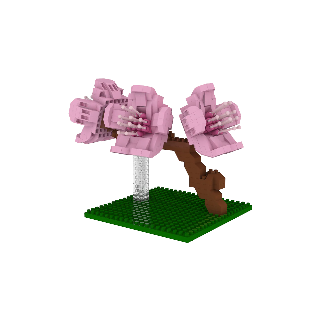 Cherry Blossom - Image 4