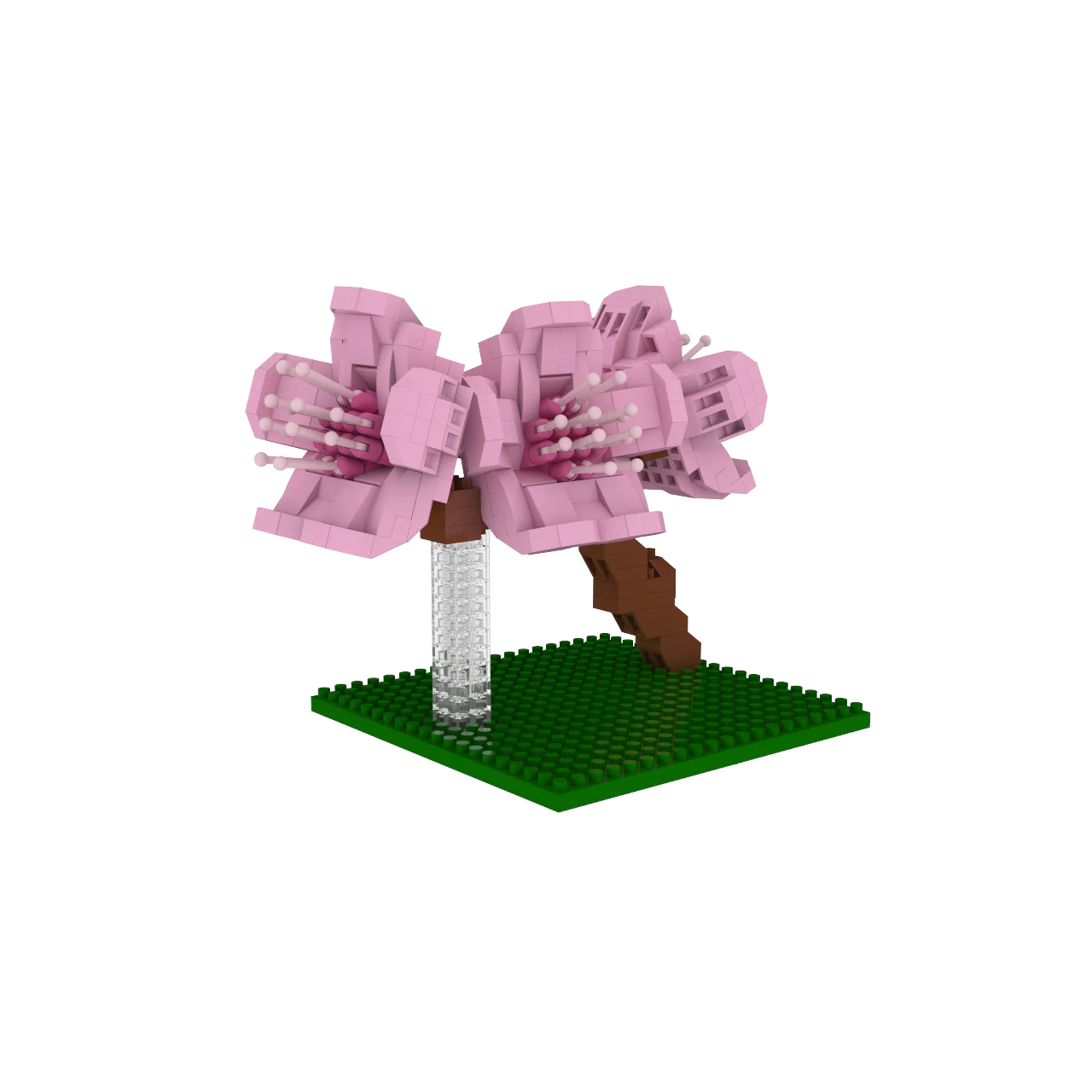 Cherry Blossom - Image 5
