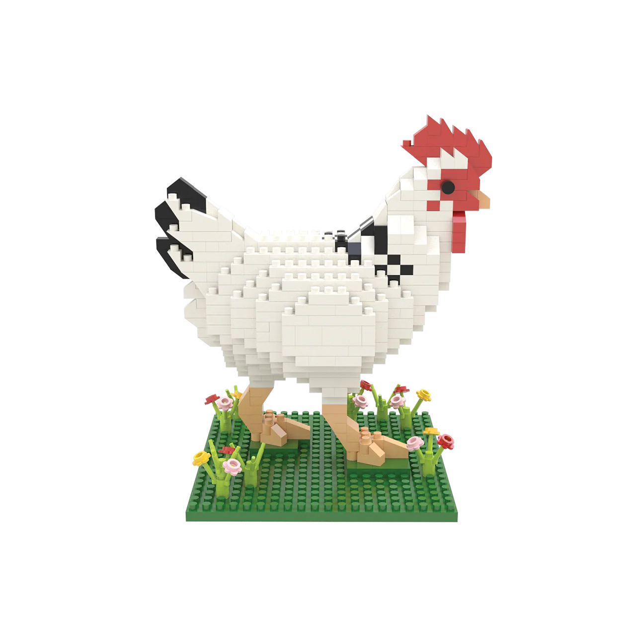 Chicken - Image 4