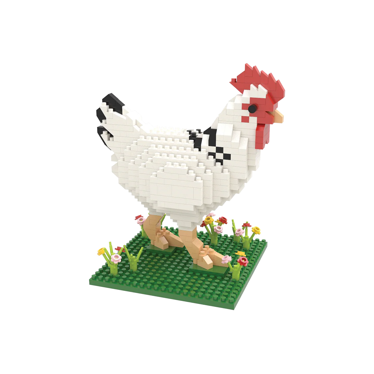 Chicken - Image 5