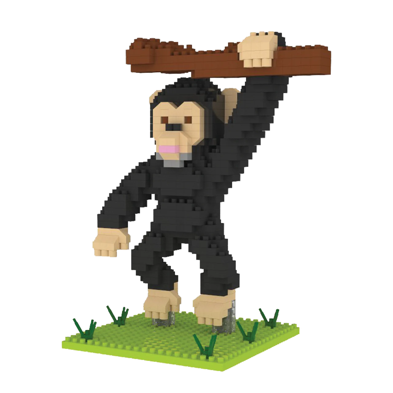 Chimpanzee - Image 3