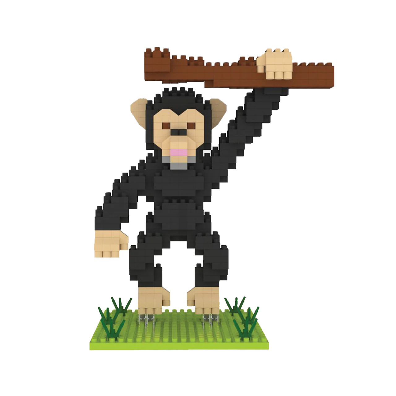 Chimpanzee - Image 4
