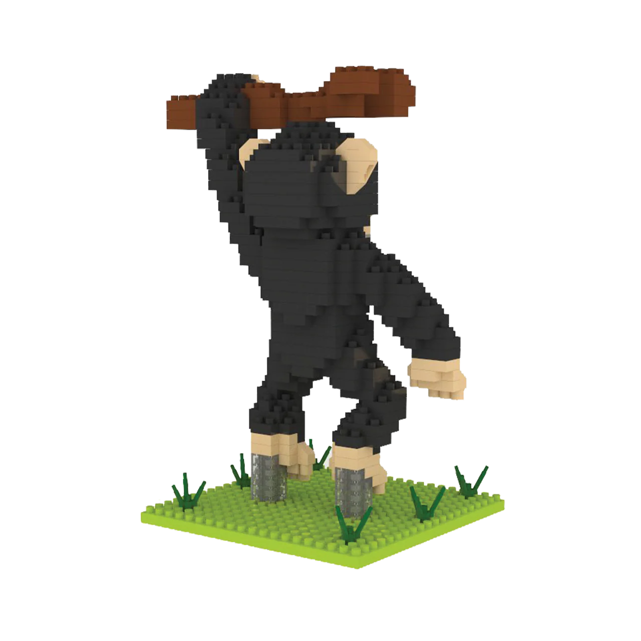 Chimpanzee - Image 5