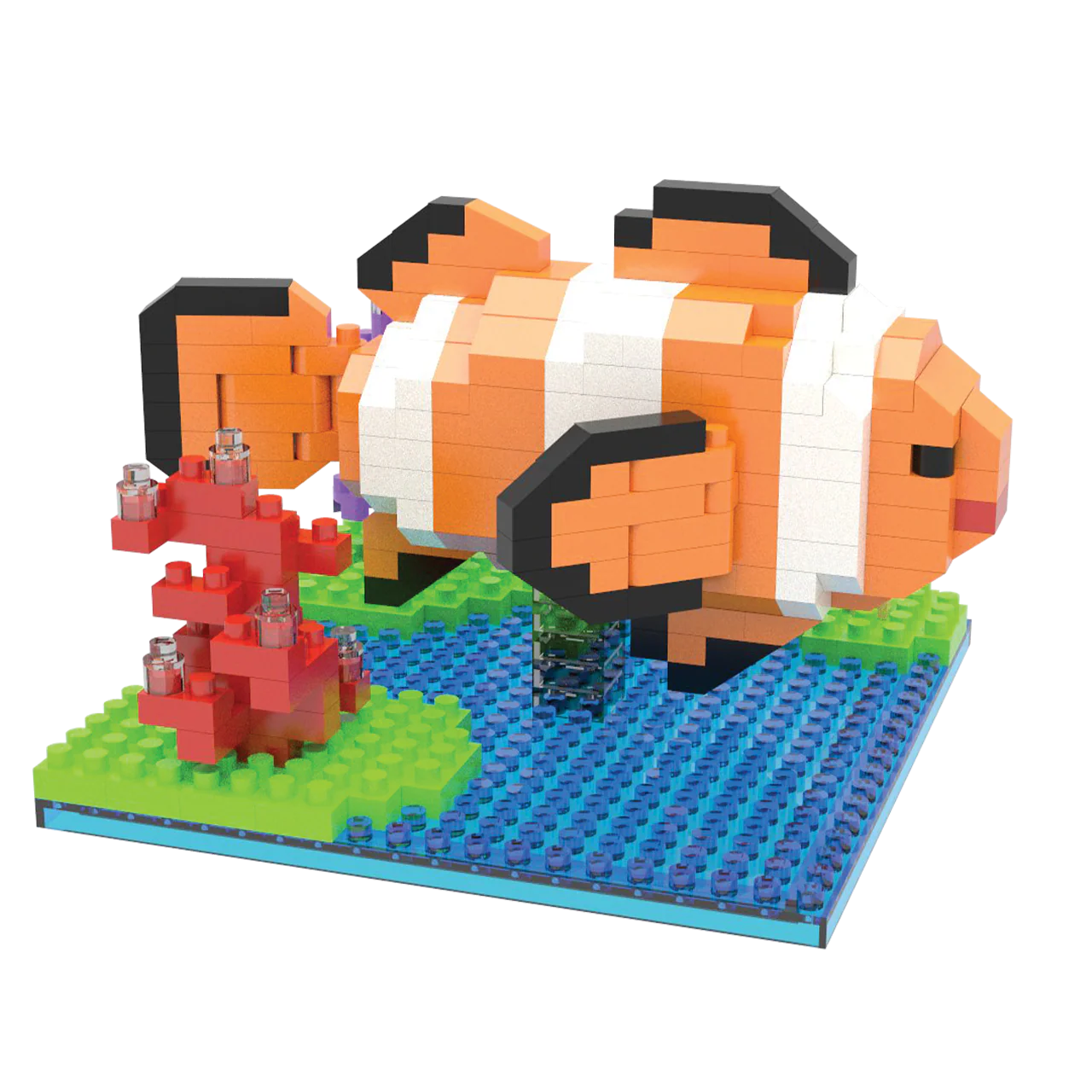 Clownfish - Image 3