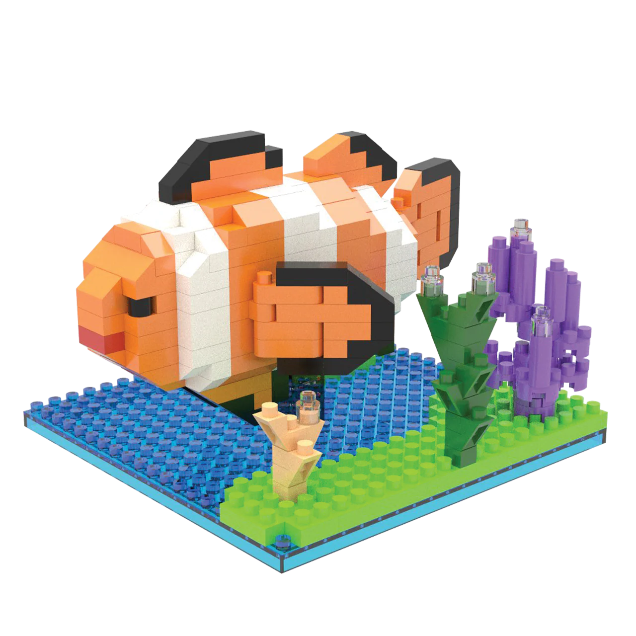 Clownfish - Image 6