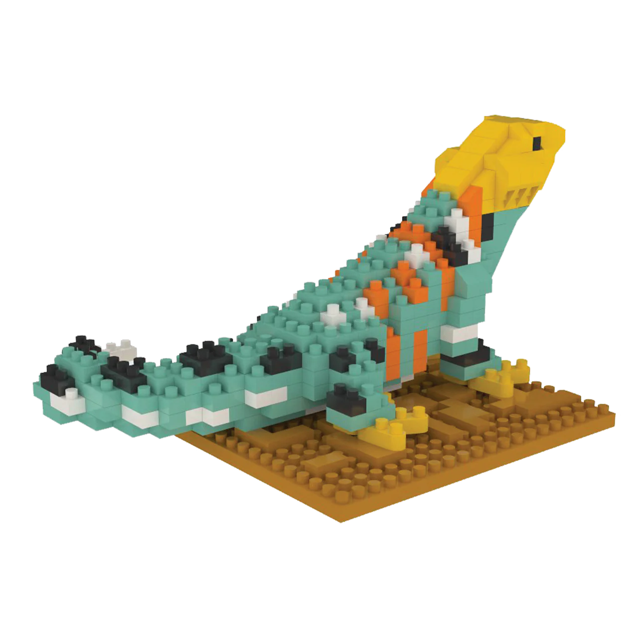 Collared Lizard - Image 4