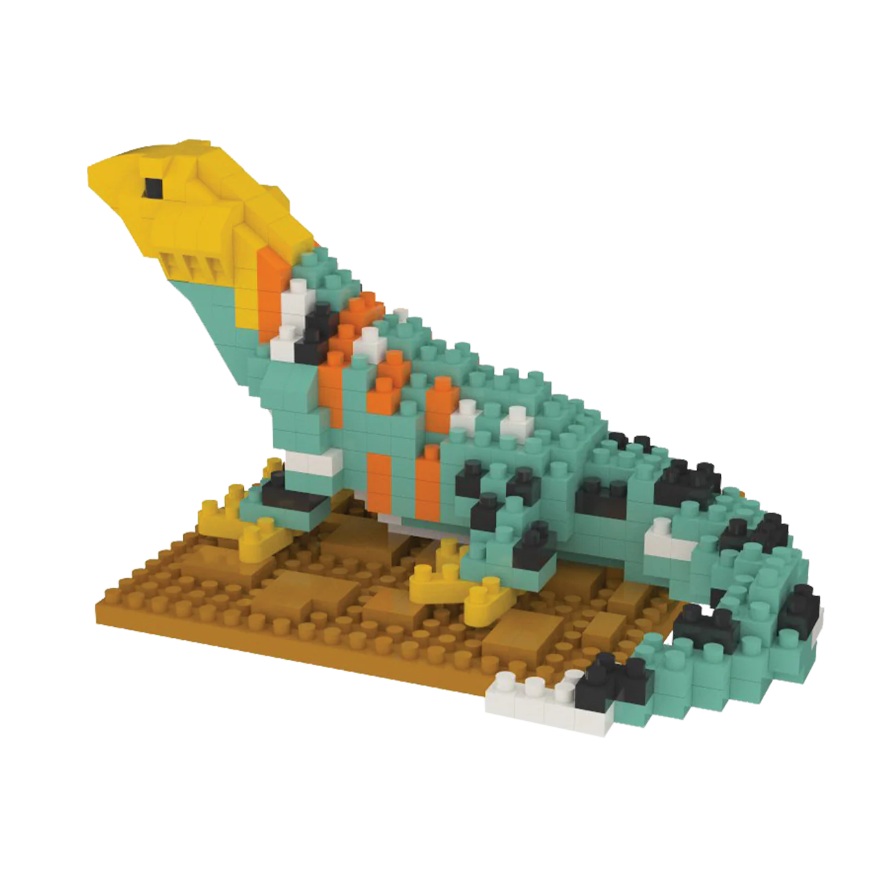 Collared Lizard - Image 6